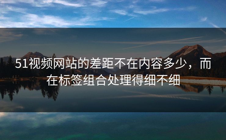51视频网站的差距不在内容多少，而在标签组合处理得细不细