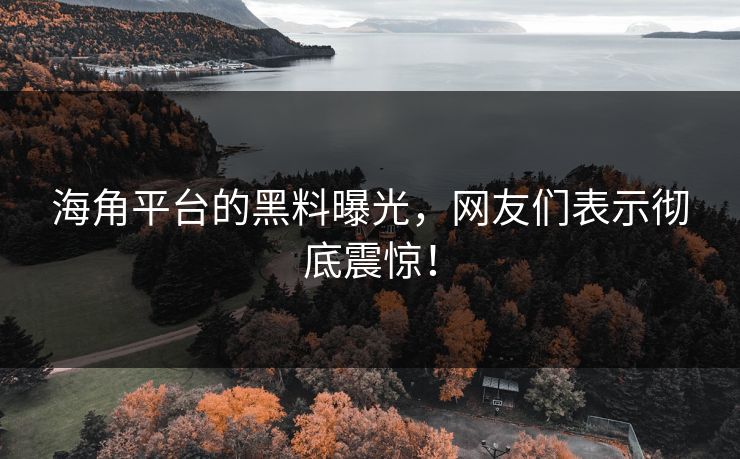 海角平台的黑料曝光，网友们表示彻底震惊！