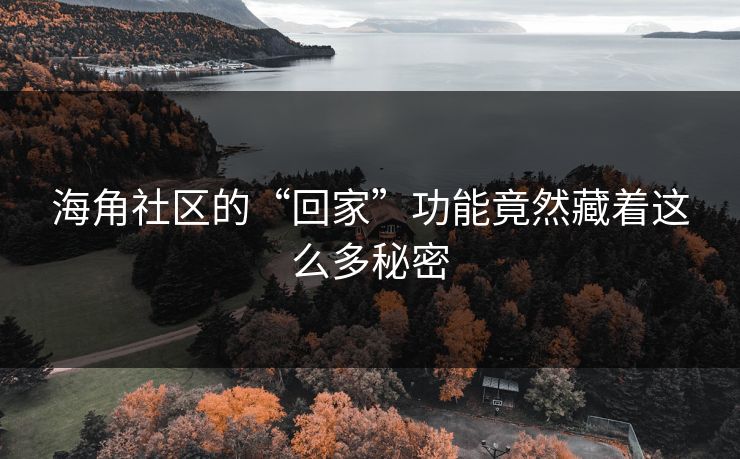 海角社区的“回家”功能竟然藏着这么多秘密