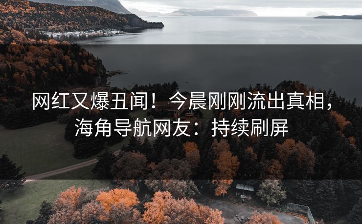 网红又爆丑闻！今晨刚刚流出真相，海角导航网友：持续刷屏