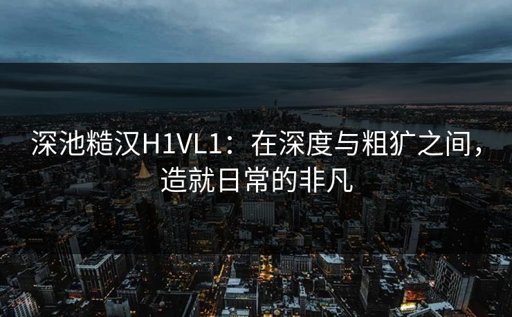 深池糙汉H1VL1：在深度与粗犷之间，造就日常的非凡