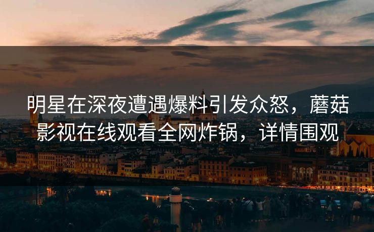 明星在深夜遭遇爆料引发众怒，蘑菇影视在线观看全网炸锅，详情围观