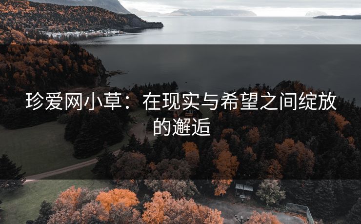 珍爱网小草：在现实与希望之间绽放的邂逅