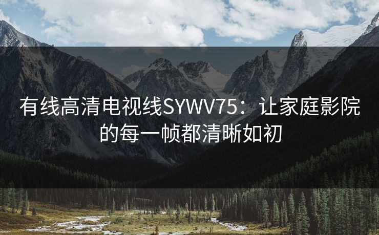 有线高清电视线SYWV75：让家庭影院的每一帧都清晰如初