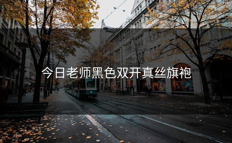 今日老师黑色双开真丝旗袍